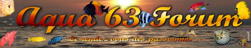 AQUA 63