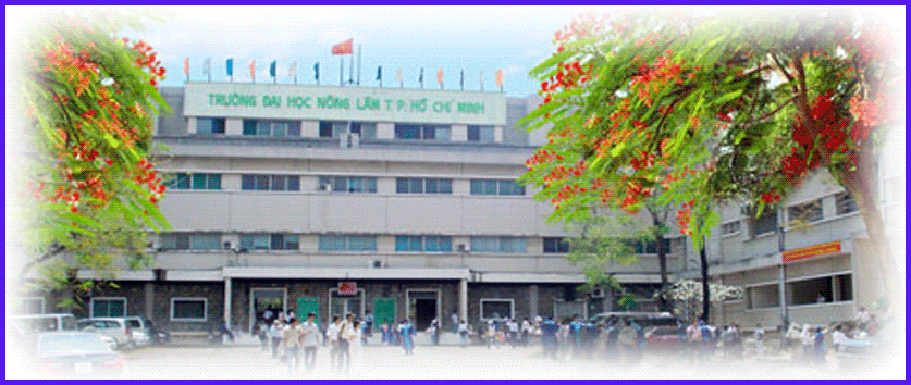 DIỄN ĐÀN SINH VIÊN ĐẠI HỌC NÔNG LÂM TPHCM