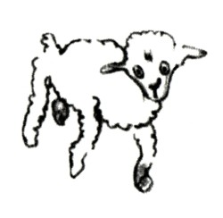 http://i89.servimg.com/u/f89/11/59/78/39/mouton10.jpg