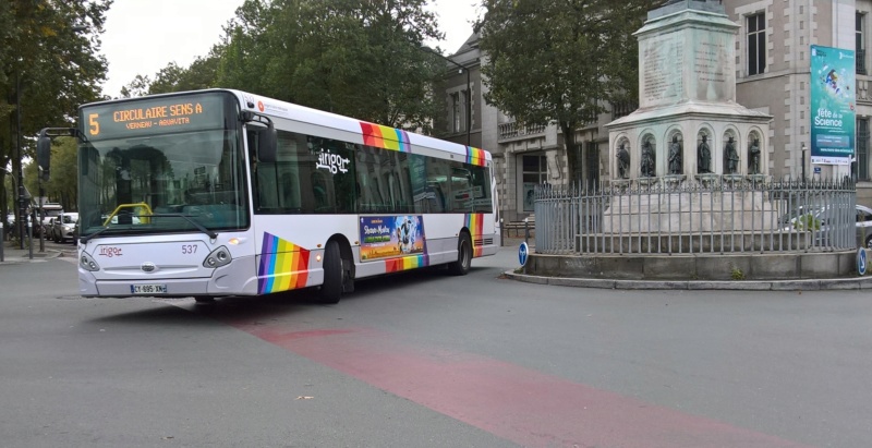 wp_20131.jpg