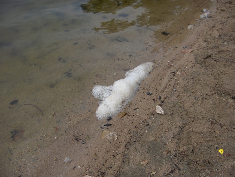 La pêche payante dhiver à podmoskove la truite