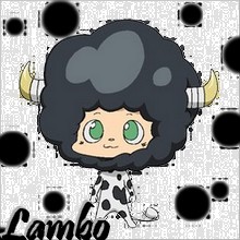 lambo10.jpg