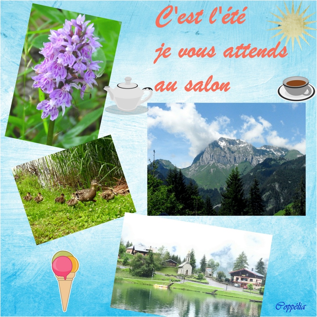 m'amies et cie