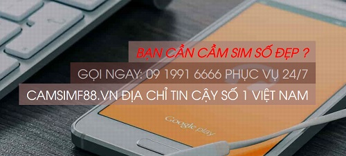 camsim12.jpg