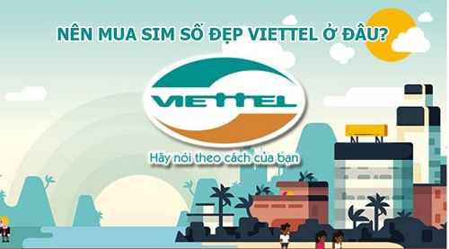 sim_vi10.jpg