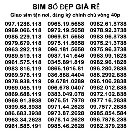 sim_vi12.jpg